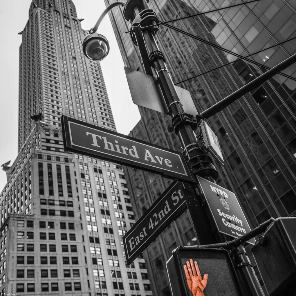 Poszter 30x30cm Utcatáblák és Chrysler Building New Yorkban, Assaf Fran