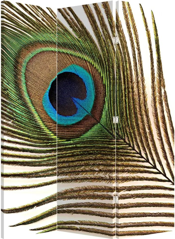 Paraván - Pávatoll (126x170 cm)