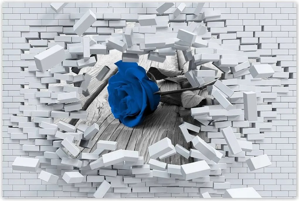 Poszterek 60x40 Kék rózsa a hídon