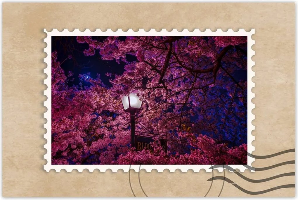 Poszterek 120x80 Mély éjszaka Lámpa Virágok