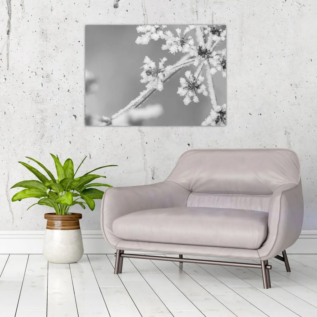 Üveg kép - Fagyasztott növény (70x50 cm)
