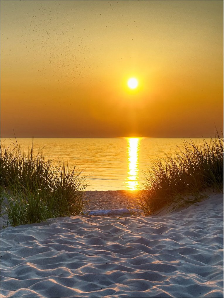 Fotótapéta Naplemente Tenger Homok Dűnék Arany fény 206x275 +ragasztó