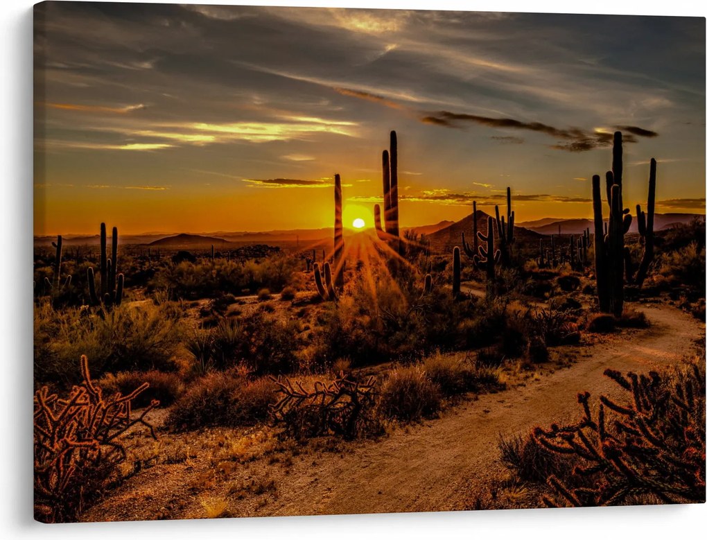 Kép - A nap vége az arizonai sivatagban (70x50 cm)