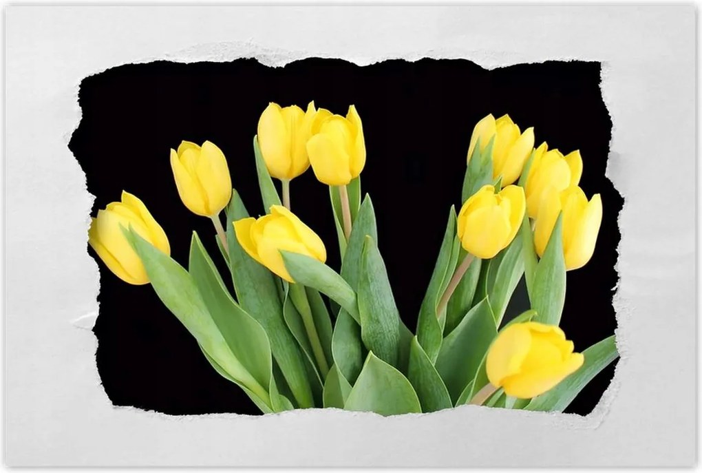 Poszterek 60x40 Sárga tulipánok