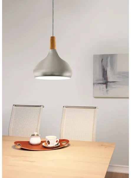 Eglo 901181 - Kábellel függesztett SABINAR csillár 1xE27/60W/230V, átm. 28 cm, ezüstszínű