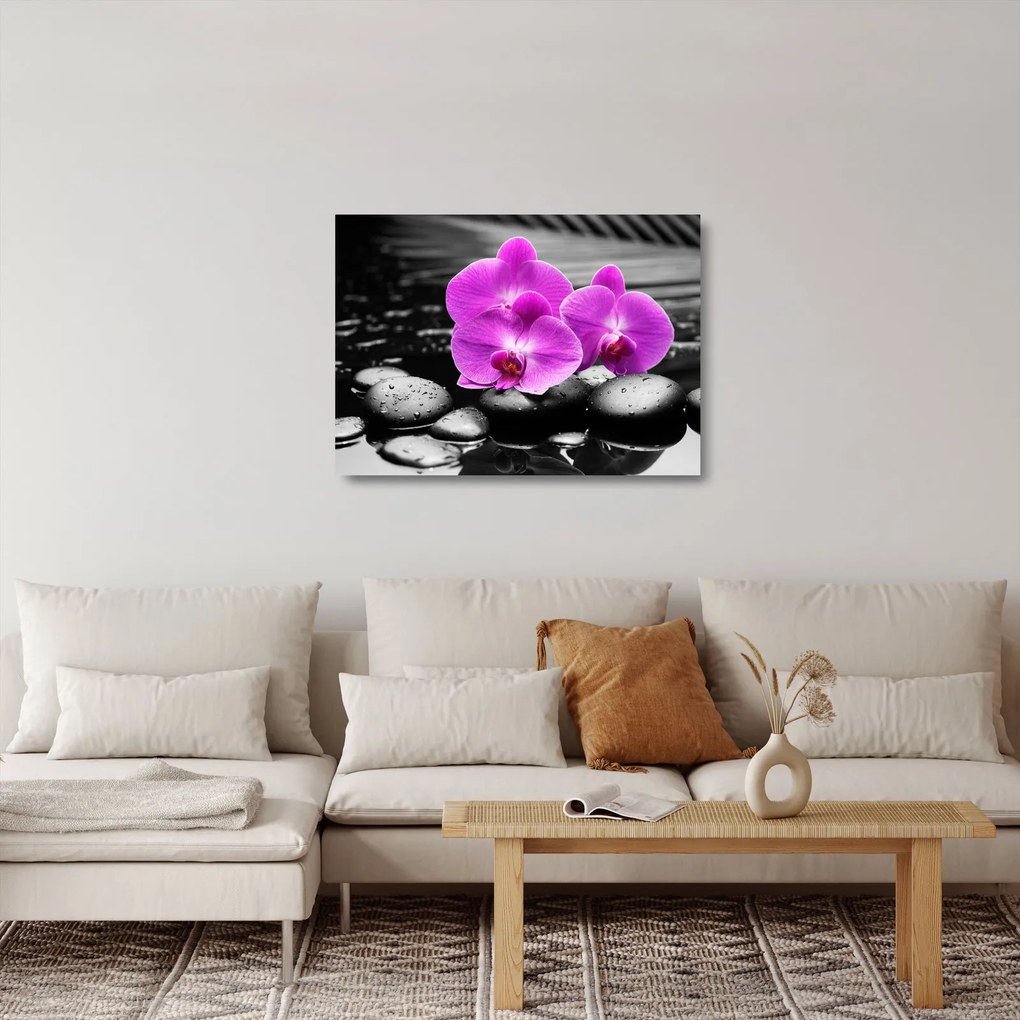 Üveg kép - Lila orchideák (70x50 cm)