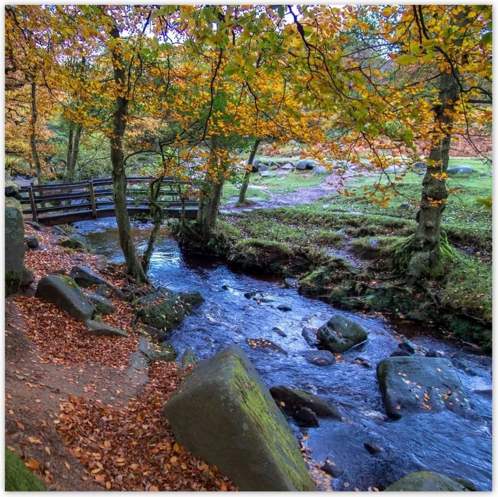 Poszterek 100x100 Híd a parkban