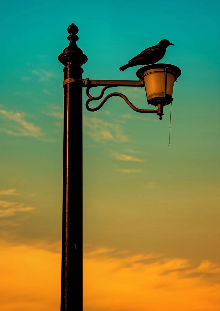 Poszter 42x59,4cm Nyugat a Lámpásban