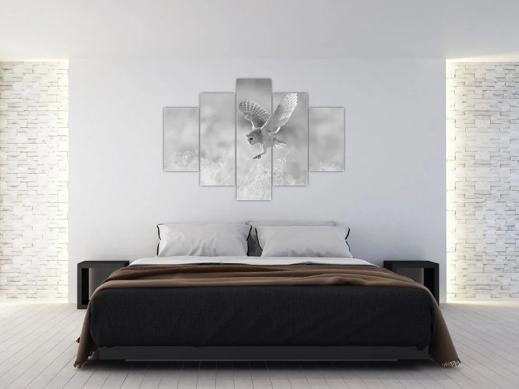 Kép - Bagoly a mezőn (150x105 cm)