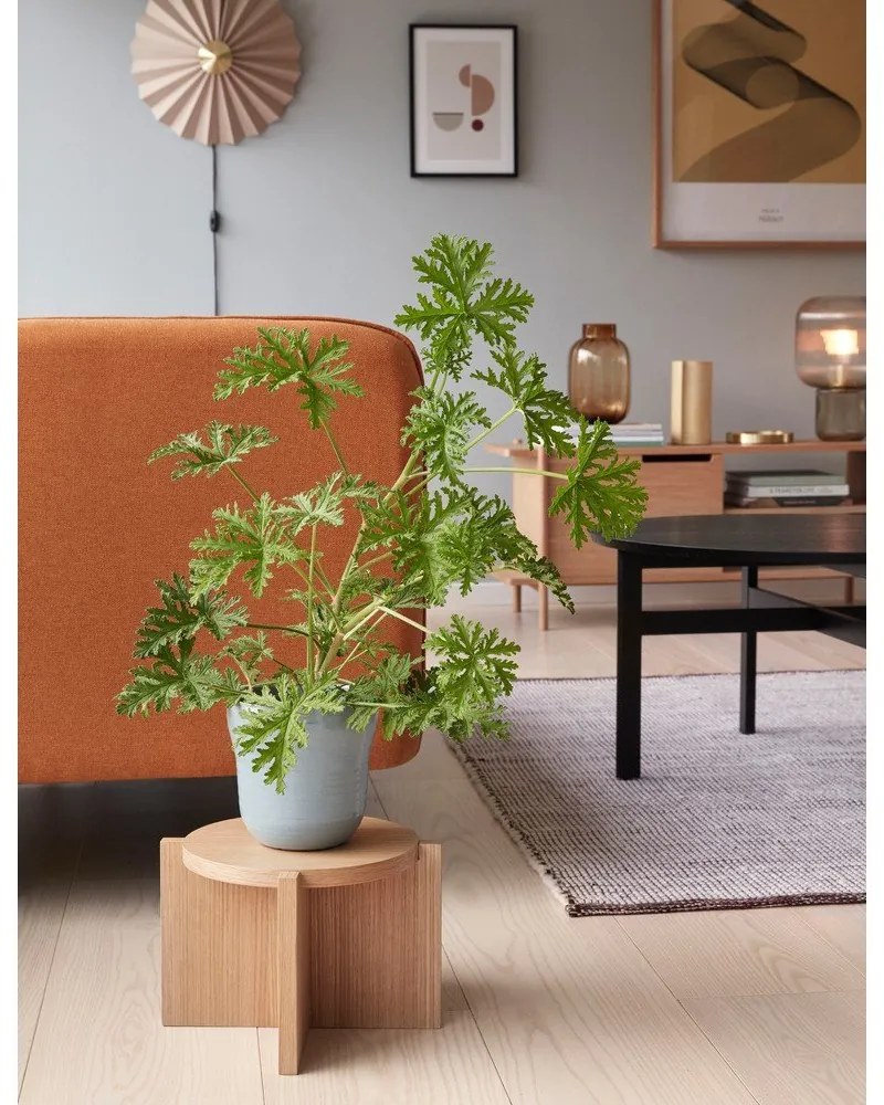 Tina 2 db-os kék kerámia virágcserép szett - Hübsch