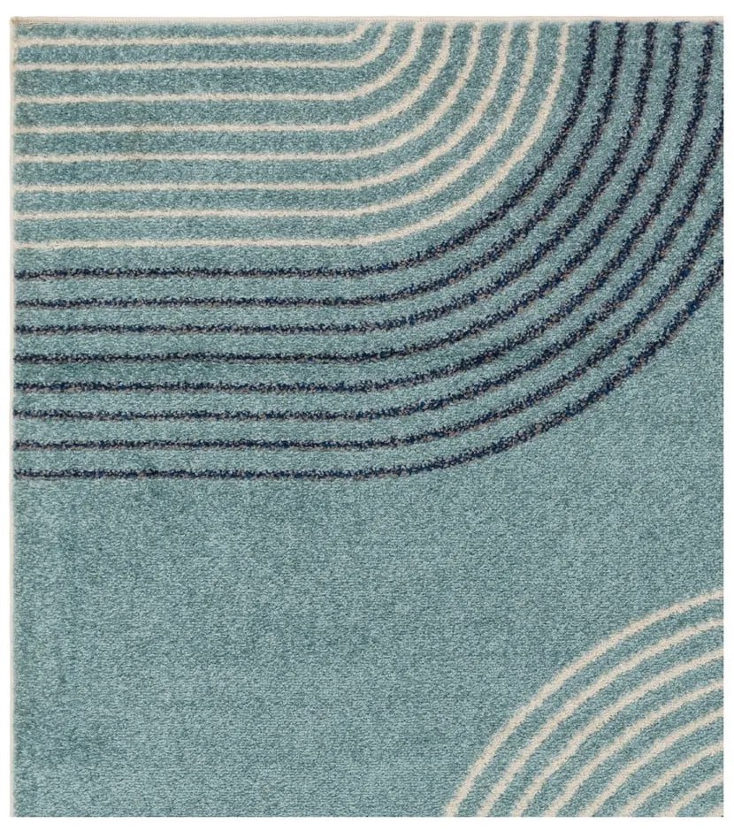 Szőnyeg 170x120 cm Muse - Asiatic Carpets