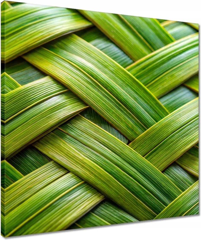 Vászonkép 50x50 Zöld fonott Zöld rattan fonott lemez