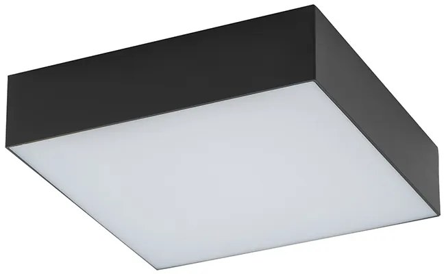 Lid