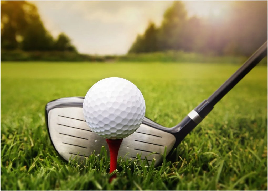 Kép - Golf (70x50 cm)