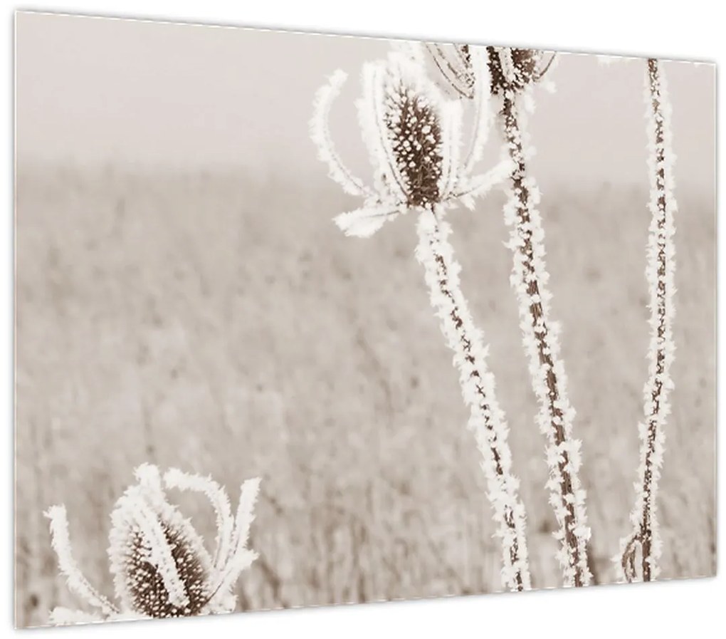 Üveg kép - Gyűszű télen (70x50 cm)