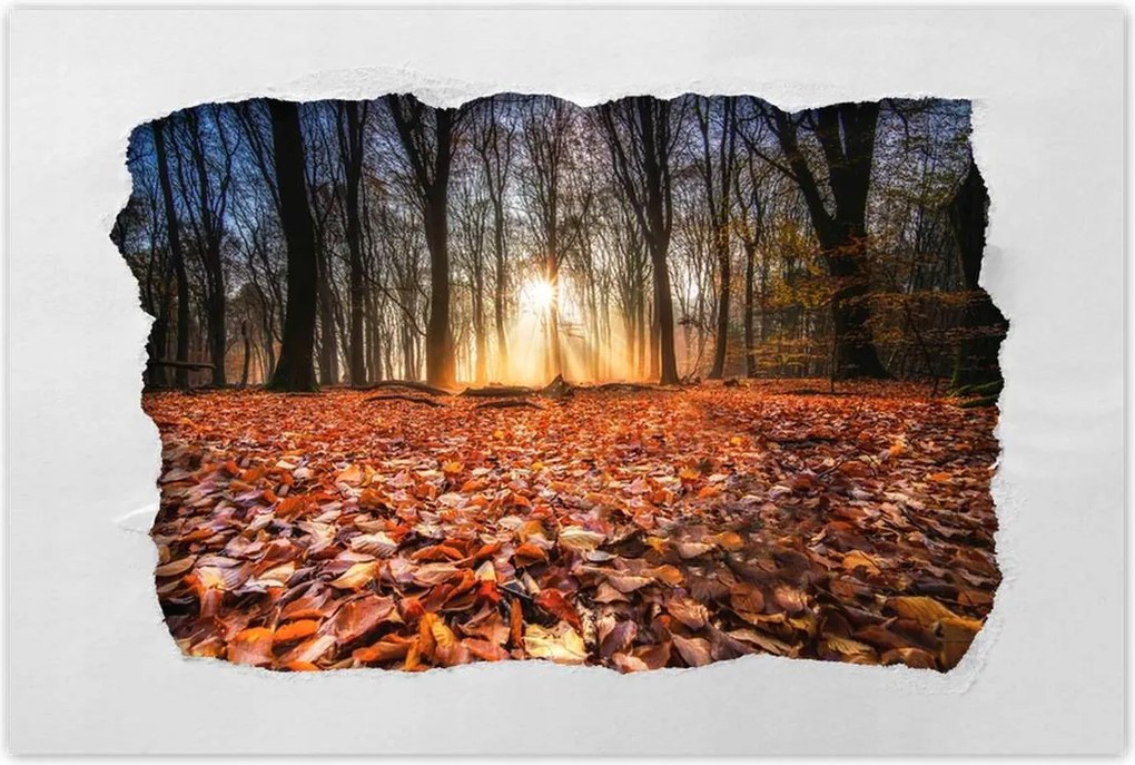 Poszterek 90x60 Őszi kilátás Tájkép