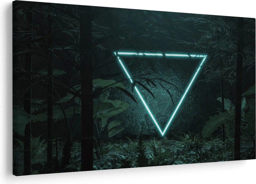 Kép - Neon háromszög a dzsungelben (90x60 cm)
