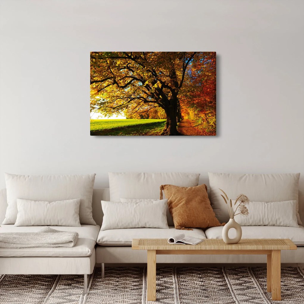 Egy őszi fa képe (90x60 cm)
