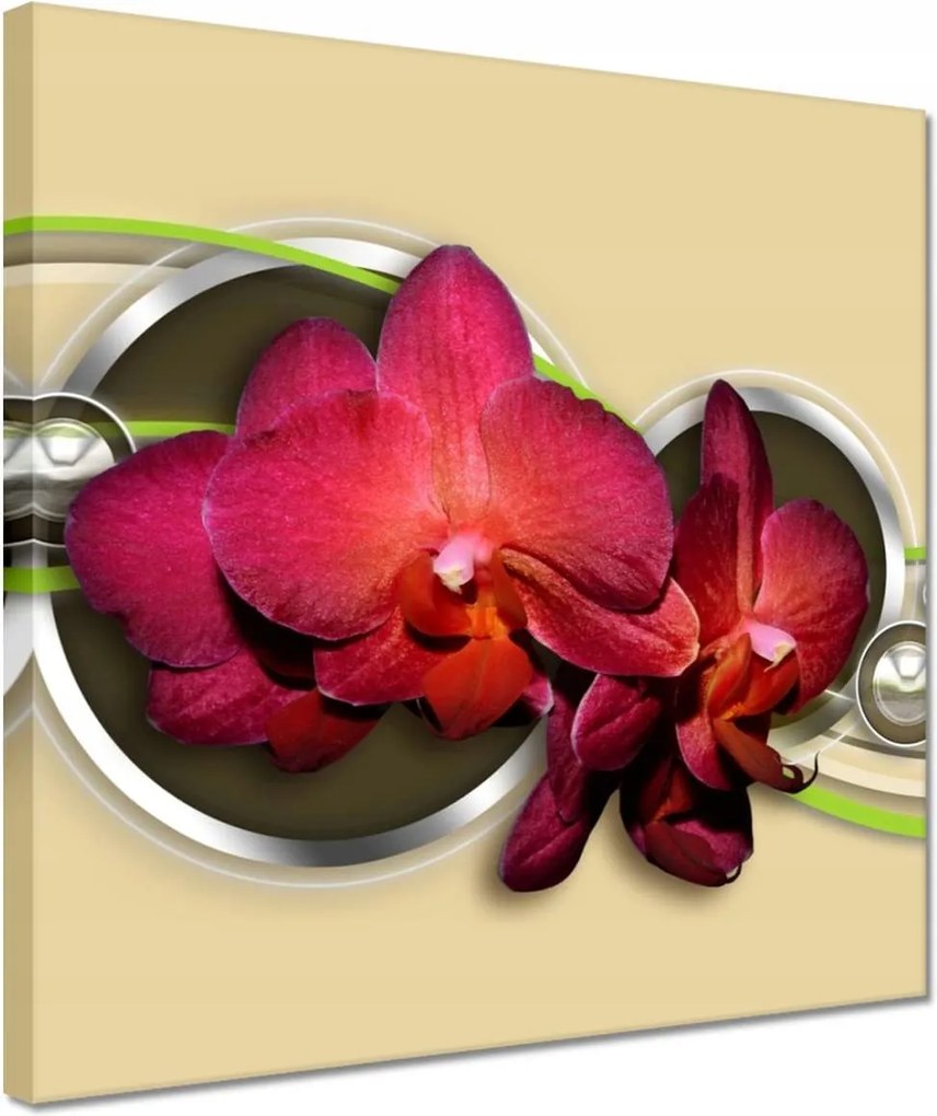 Képek 30x30 Virágok Absztrakt