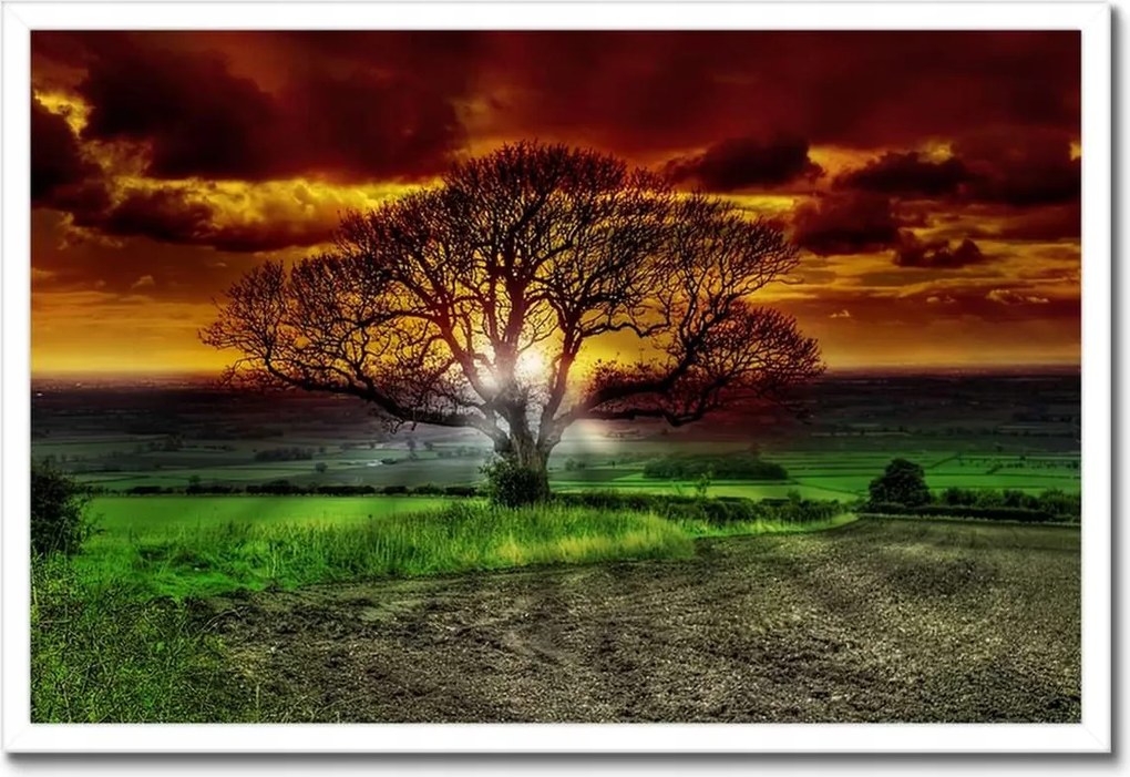 Poszterek keretben 60x40 Varázslatos fa tájkép