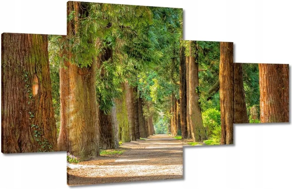 Festmények 130x80 Út a parkban Fák