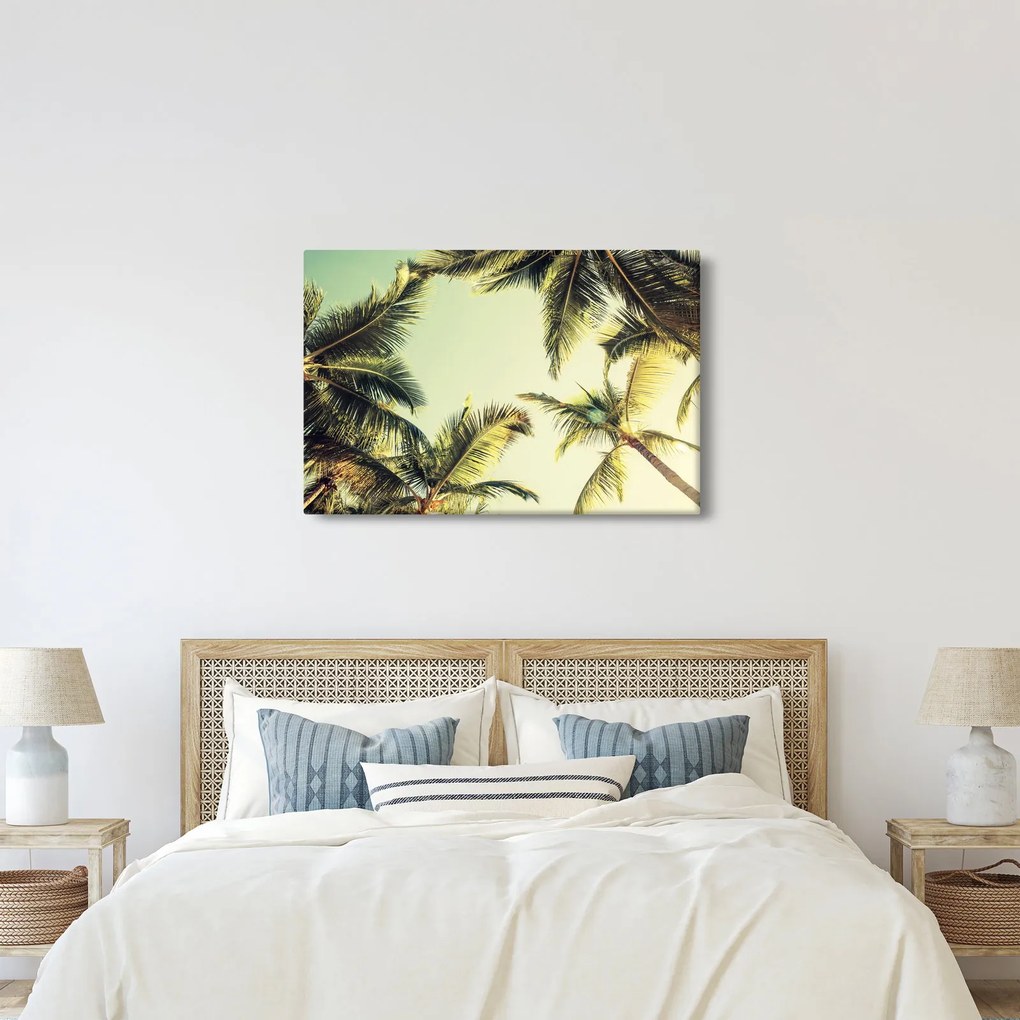 Kép kókuszpálmával (90x60 cm)