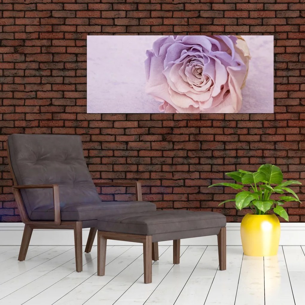 Egy rózsa virág részlete (120x50 cm)