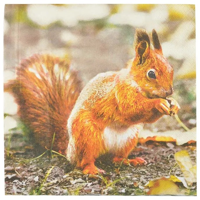 Madaras és mókusos szalvéta