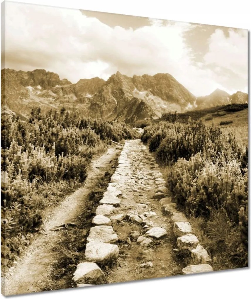 Vászonkép 60x60 Tátra Lengyel hegyek Kilátás