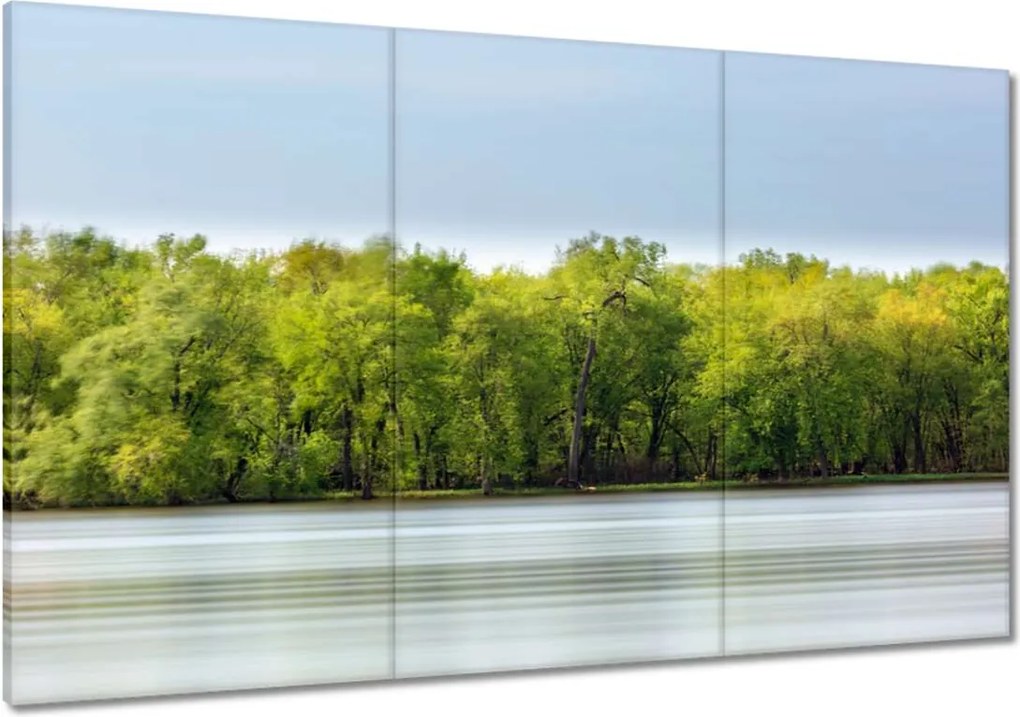 Vászonkép 120x80 Erdő Tó Ég