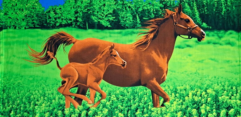 Törölköző lovakkal 70 x 150 cm mikroszálas kanca csikóval