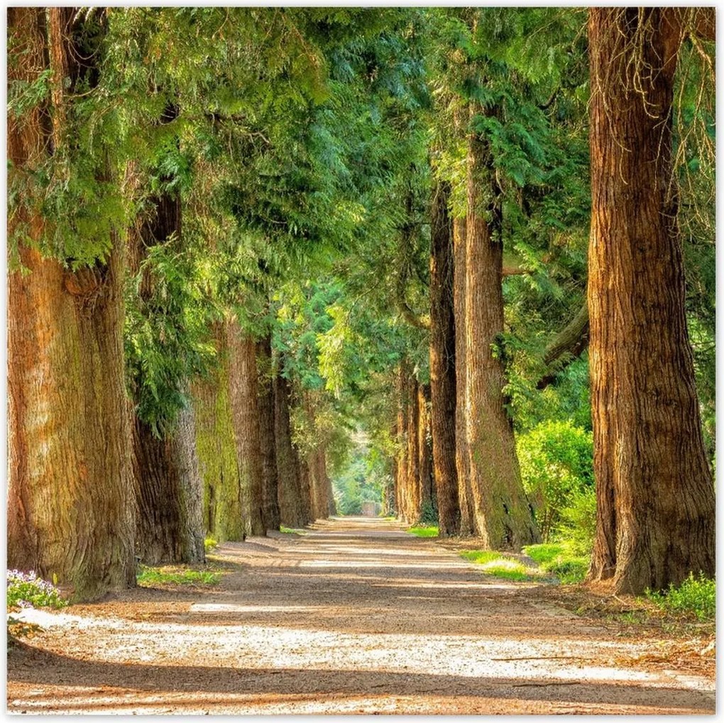 Poszterek 70x70 Tájkép