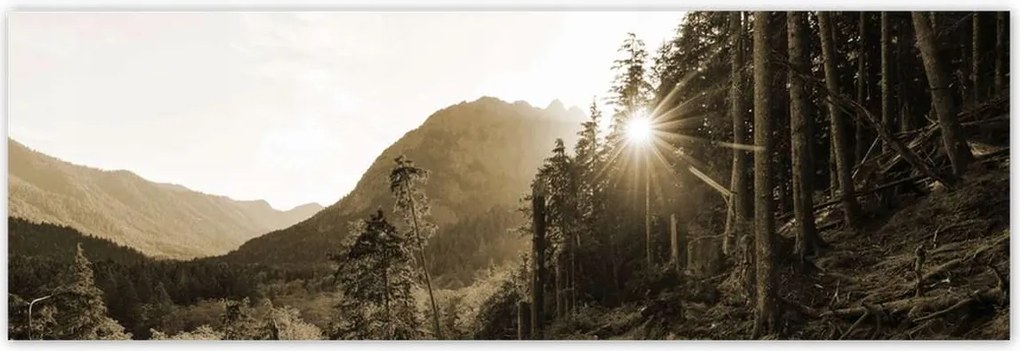 Poszterek 200x66 Szépia tájkép Szépia