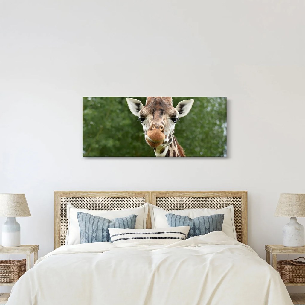 Egy zsiráf képe (120x50 cm)