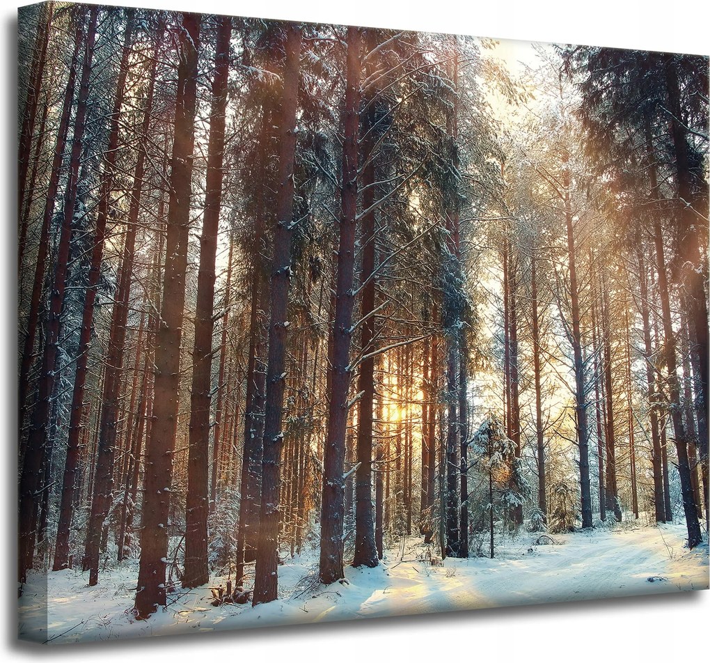 Vászonkép Erdő Tél Hó Fehér Természet 50x40 cm Ajándéknak is tökéletes