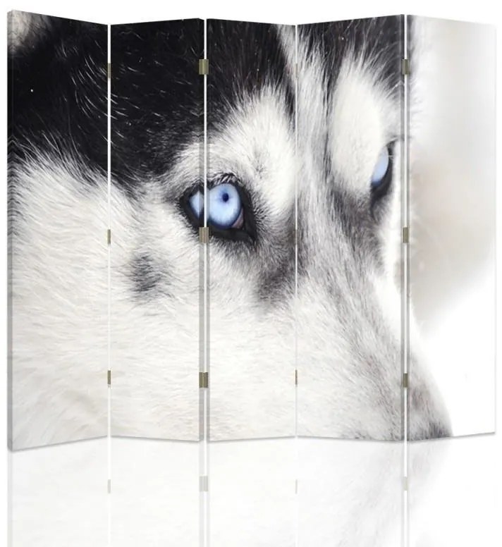 Gario Paraván Szibériai husky Méret: 180 x 170 cm, Kivitelezés: Klasszikus paraván