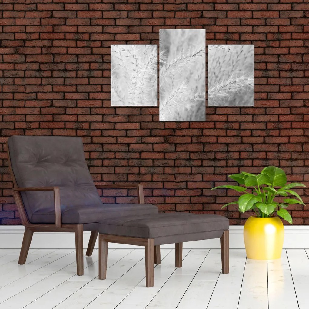 Kép - Pampafű N⁰1 (90x60 cm)