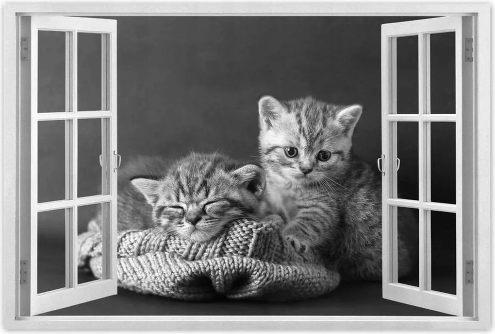 Poszterek 90x60 Cicák Bw