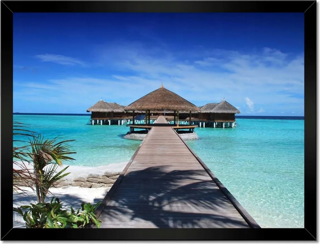 Poszterek keretben 40x30 Trópusok