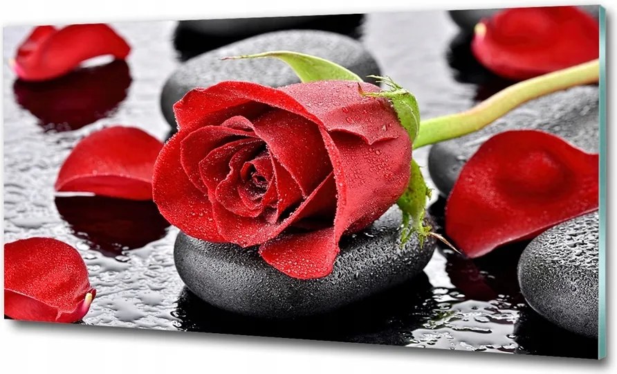 Fotó vászonkép edzett üveg Bambusz és pillangó 100x70