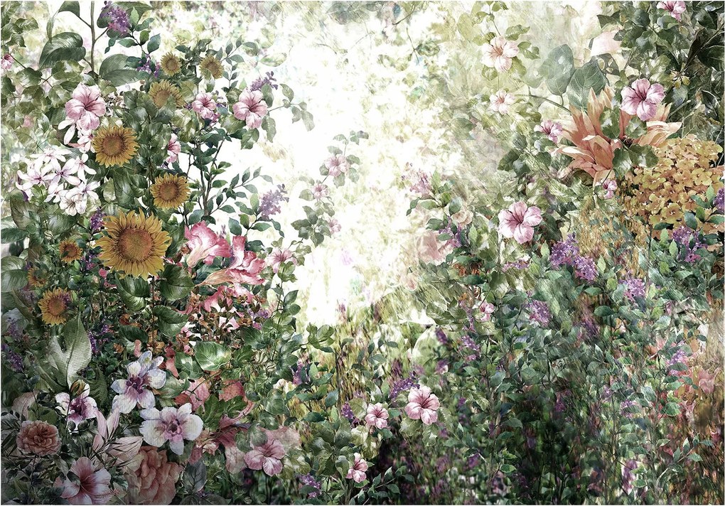 Tapéta Virágos Paradicsom Napraforgók Bazsarózsa Romantikus Provence 250x175 +ragasztó