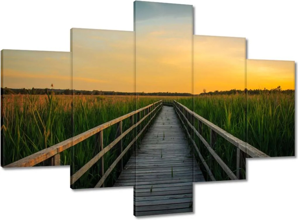 Vászonkép 100x70 Tájkép Naplemente