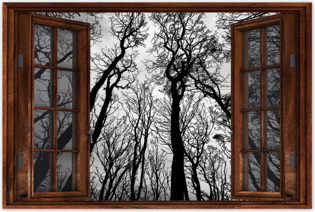 Poszterek 60x40 Erdő Fák Kilátás alulról