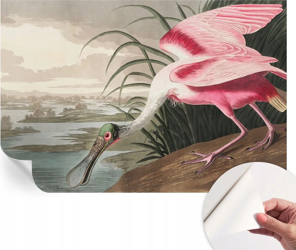 Design fali fotótapéta öntapadós Egzotikus madár 104x70 cm