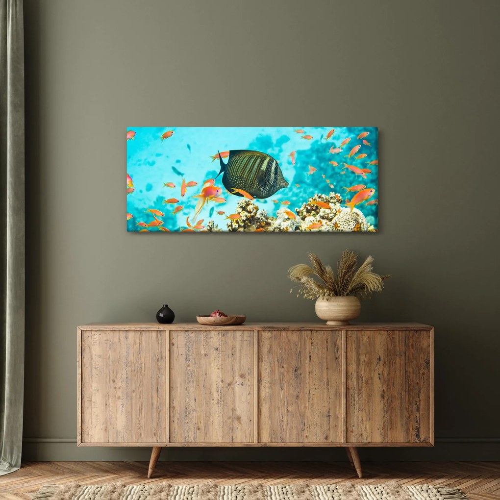 A víz alatti világ képe (120x50 cm)