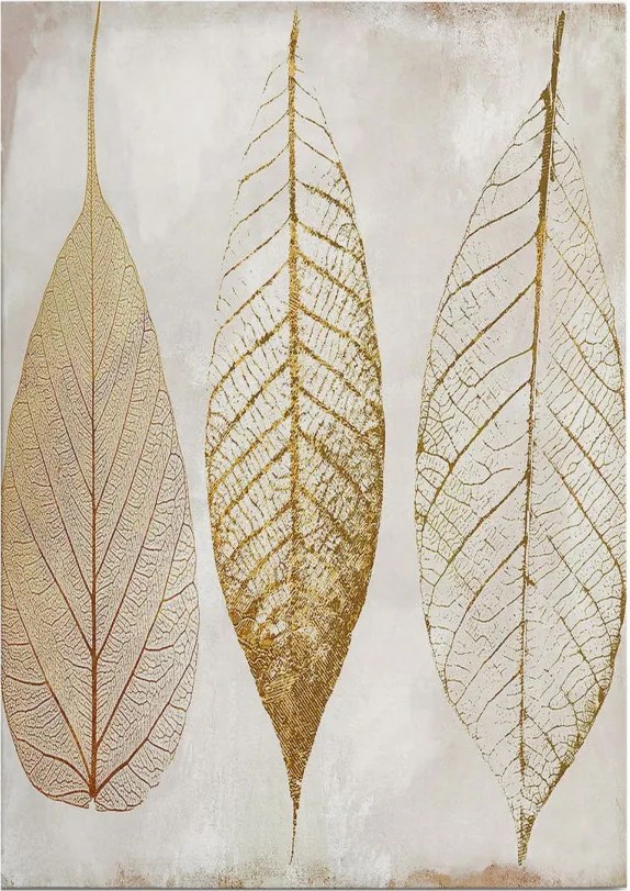 Vászonkép, 50×70 cm – WY81