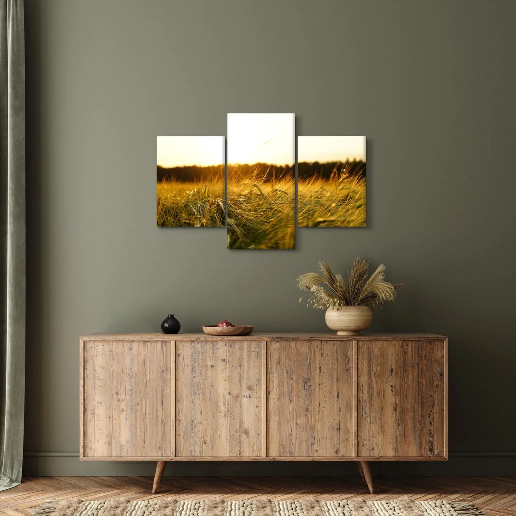 Harmatos fű képe (90x60 cm)