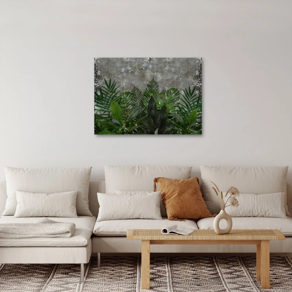 Kép - Betonfal növényekkel (70x50 cm)