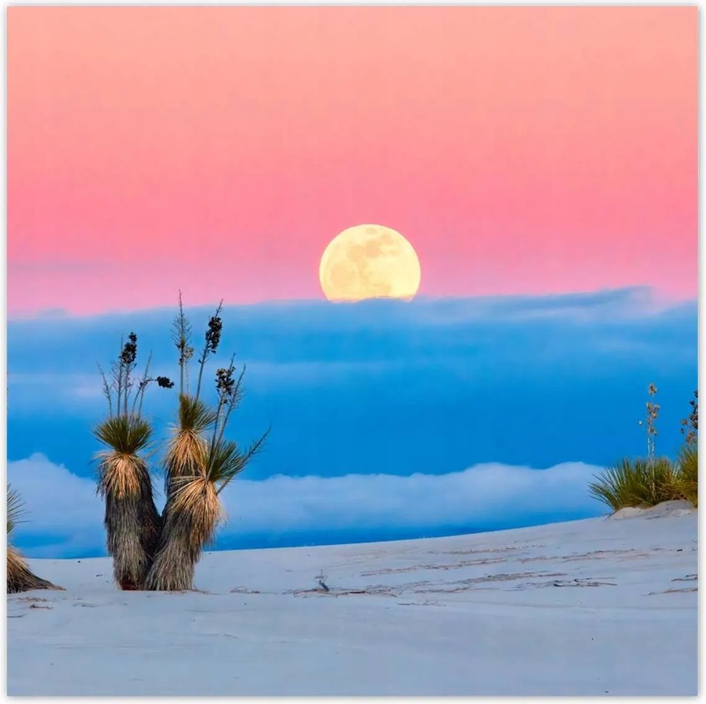 Poszterek 100x100 Kilátás Tájkép