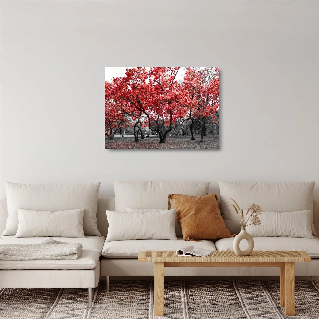 Kép - vörös fák, Central Park, New York (üvegen) (70x50 cm)